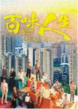 韩剧《双面女人》免费观看海报